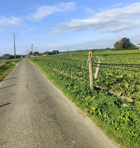 Vue chantier appui télécom